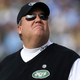 Illustration for article titled Everybody Loves Rex Ryan